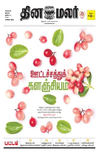 Dinamalar iPaper - Pattam